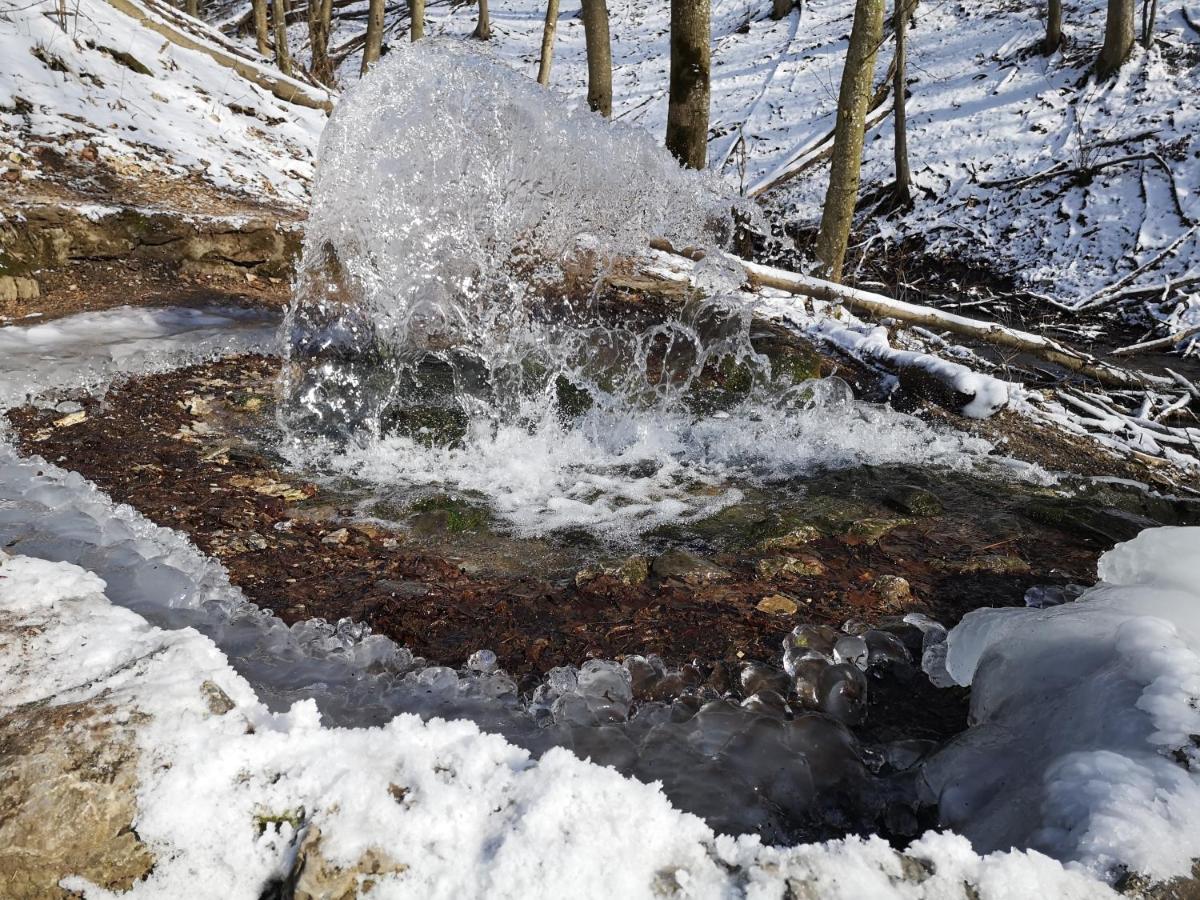 Nyitott Kapu Vendégház Felsőtárkány Esterno foto