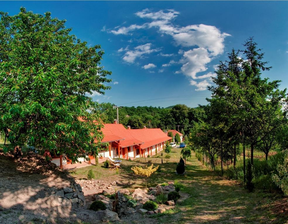 Nyitott Kapu Vendégház Felsőtárkány Esterno foto